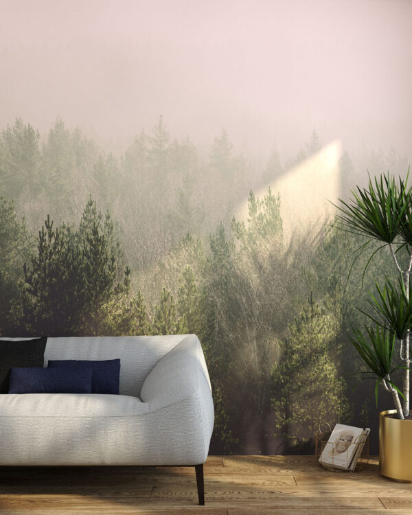 Фотошпалери хвойний ліс у тумані в залі