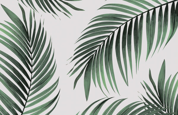 Шпалери листя пальми у графічному стилі на світло-сірому тлі