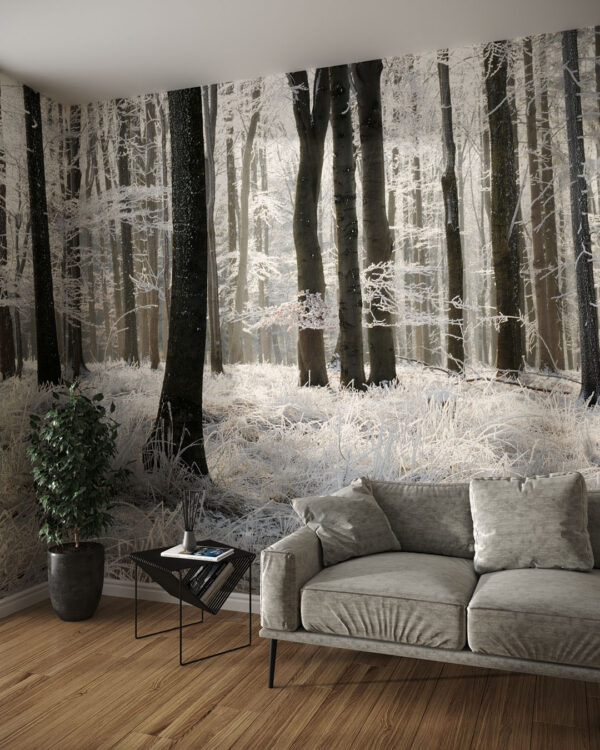 Фотообои зимний лес с изображением высоких деревьев в гостиной