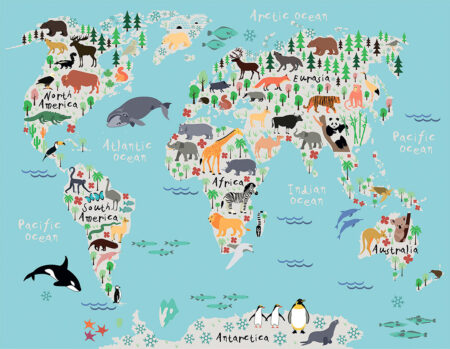 Дитячі фотошпалери карта світу з різними тематичними тваринами, птахами та морськими жителями