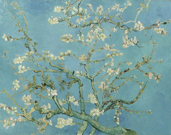 Фотообои картина "Цветущий миндаль" Винсента Ван Гога