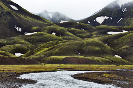 Фотообои зелёные горы покрытые травянистыми полями