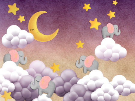 Фотообои слоны спящие на тучках в ночном небе