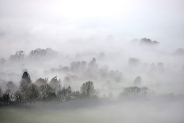 Фотообои пейзаж с деревьями в тумане