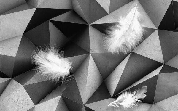 Фотообои перья 3д на сером фоне геометрической абстракции