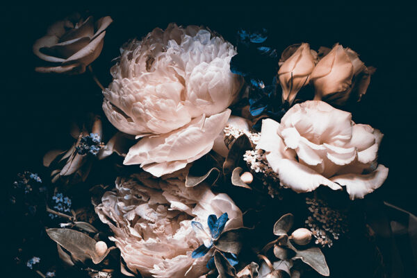 Фотошпалери троянди, півонії та інші квіти в букеті на чорному тлі
