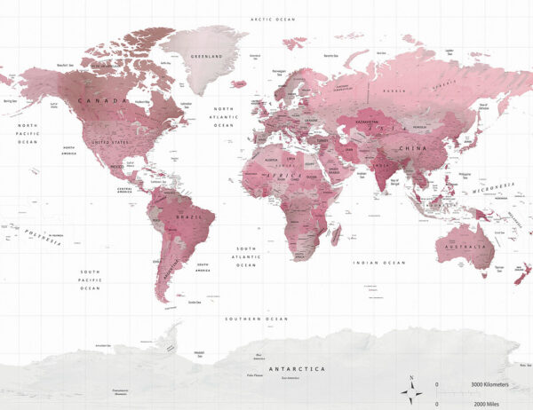 Сучасні фотошпалери дизайнерська карта світу англійською в рожевих відтінках на білому тлі