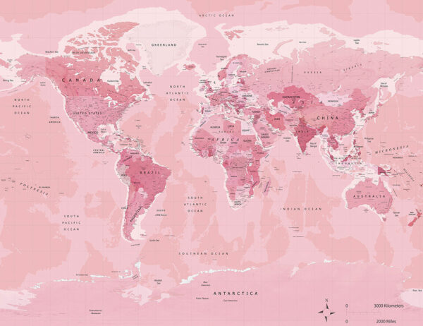 Сучасні фотошпалери дизайнерська карта світу англійською в рожевих відтінках на світло-рожевому тлі