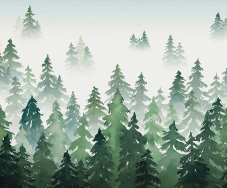 Дизайнерские обои акварель еловый лес в тумане