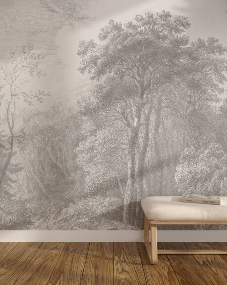 Обои лес гравюра в сером цвете с изображением лиственных деревьев в коридоре