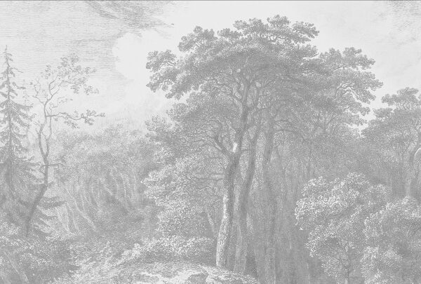Обои лес гравюра в сером цвете с изображением лиственных деревьев