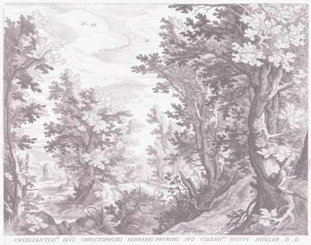 Обои природа гравюра в серых оттенках с изображением деревьев