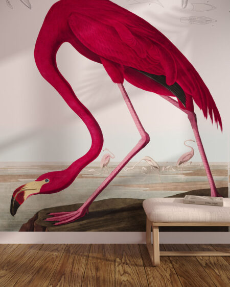 Фотообои картина с фламинго ярко-розового цвета в прихожей