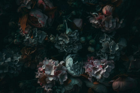 Фотошпалери 3д квіти у темних тонах на чорному тлі