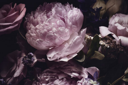Фотообои розовые пионы в букете цветов