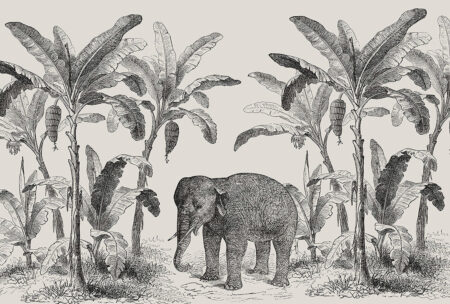 Обои слон с пальмами в графическом стиле на сером фоне