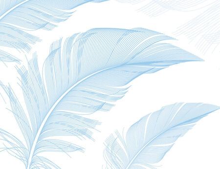 Фотообои перья голубого цвета в графическом стиле на белом фоне