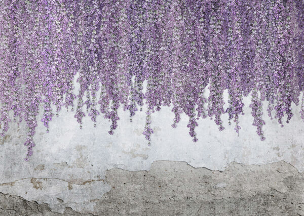 Дизайнерські фотошпалери блідо-фіолетові квіти гліцинії на бетонному тлі