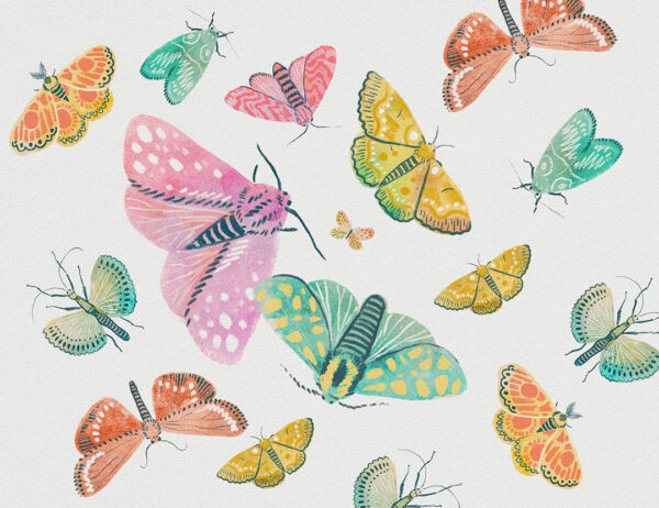 Фотообои бабочки в красочных тонах на светлом фоне