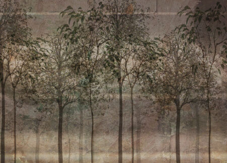 Дизайнерские обои лес с изображением темных силуэтов тонких деревьев на текстуре в коричнево-зеленых оттенках