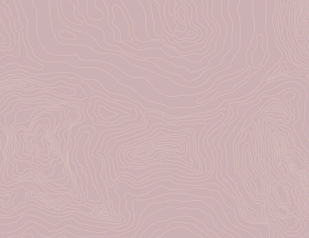 Фотообои абстракция линий на бледно-розовом фоне