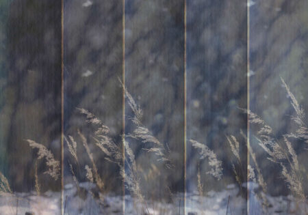 Фотошпалери колоски у полі на розмитому фоні у фіолетових тонах з 3д фактурними панелями