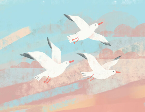 Дизайнерские обои с тремя чайками на небесном фоне в графическом стиле
