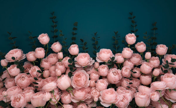 Дизайнерские фотообои розы розового цвета 3д на темно-синем фоне