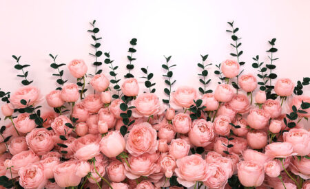 Фотошпалери з об’ємними рожевими трояндами