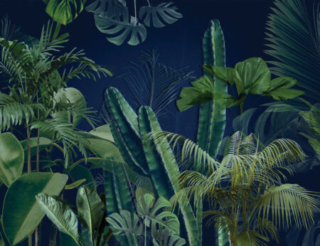 Фотошпалери з тропічним листям та кактусами на темно-синьому тлі