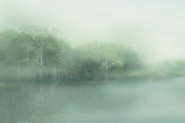 Фотошпалери ліс в тумані над річкою розмиті зелені обриси