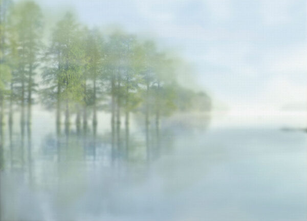 Фотообои лес с размытым изображением зеленых деревьев над озером