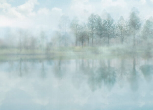 Фотошпалери з містичним лісом в тумані над озером