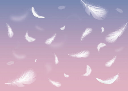 Фотообои перья в полёте на текстуре градиент фиолетового цвета