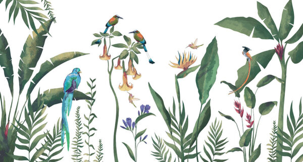 Фотообои тропики с птицами и растениями на белом фоне