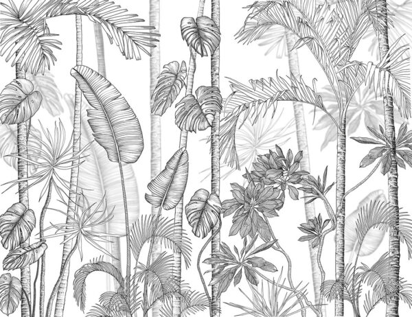 Обои тропические растения и пальмы в стиле графики на белом фоне