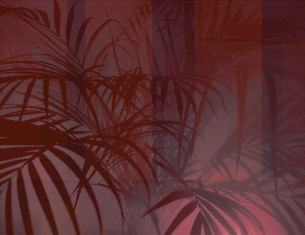 Дизайнерські шпалери тіні тропічного листя на бордовому тлі