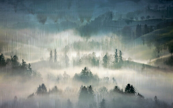 Дизайнерські шпалери ліс на схилах, оповитий густим туманом з текстурою