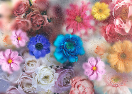 Фотообои красочные цветы под текстурой стекла с росой