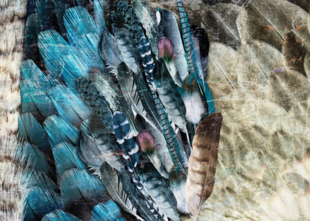 Фотообои текстура с перьями в синих и коричневых тонах
