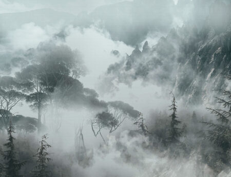 Дизайнерські шпалери ліс на тлі гір у тумані в темних відтінках