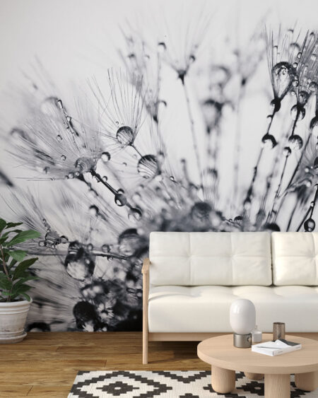 Фотообои одуванчики с росой на белом фоне макросъемка в гостиной