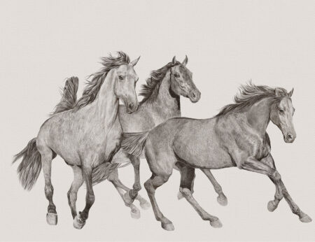 Дизайнерские обои с тройкой лошадей в графическом стиле на светлом фоне