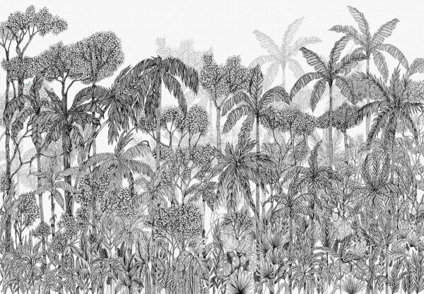 Дизайнерські шпалери тропічні пальми та інші графічні ілюстрації рослин на білому тлі