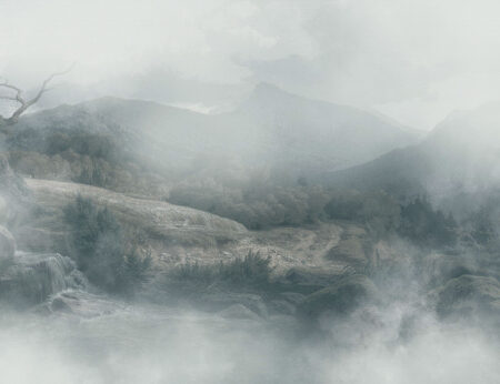 Дизайнерські фотошпалери ліс та гори у тумані