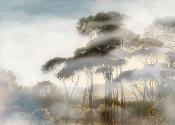 Фотошпалери з туманним лісом у променях сонця в насичених кольорах