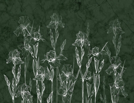Фотошпалери з лінійними квітами ірисів та зеленим мармуром