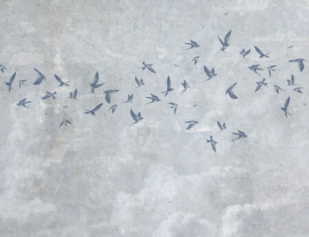Фотошпалери з ніжними птахами на тлі хмарного неба