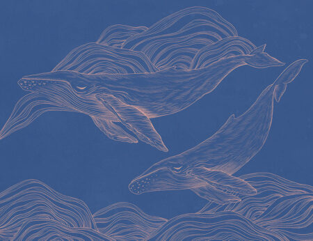 Фотошпалери з лінійними ніжними оранжевими китами на синьому тлі