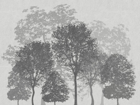 Фотошпалери з чорно-білими деревами та фактурною текстурою